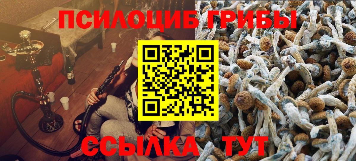 Галлюциногенные грибы ЛСД Томск