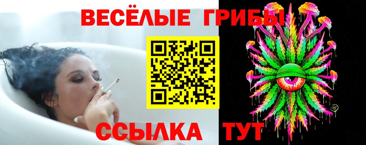 где купить наркотик  Вход с VPN  Томск  Галлюциногенные грибы MAGIC MUSHROOMS 